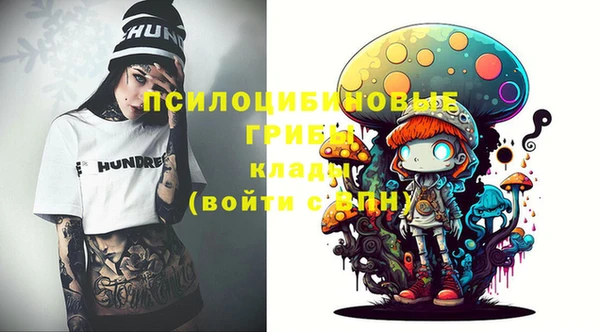 молекула духа Абинск