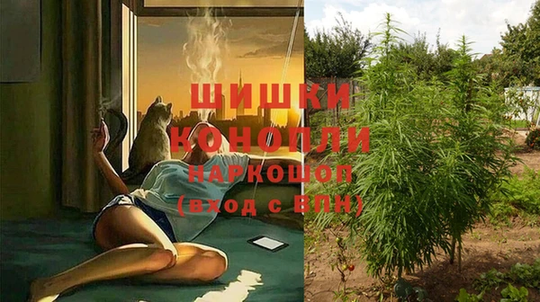 мяу мяу мука Абаза